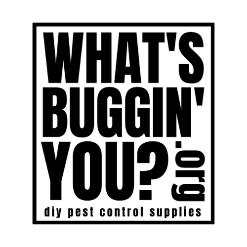 What's Buggin' You